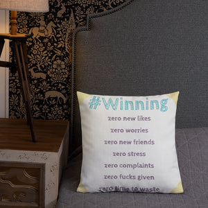 Life Rocketed pillow