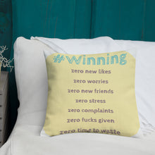 Load image into Gallery viewer, Life Rocketed pillow